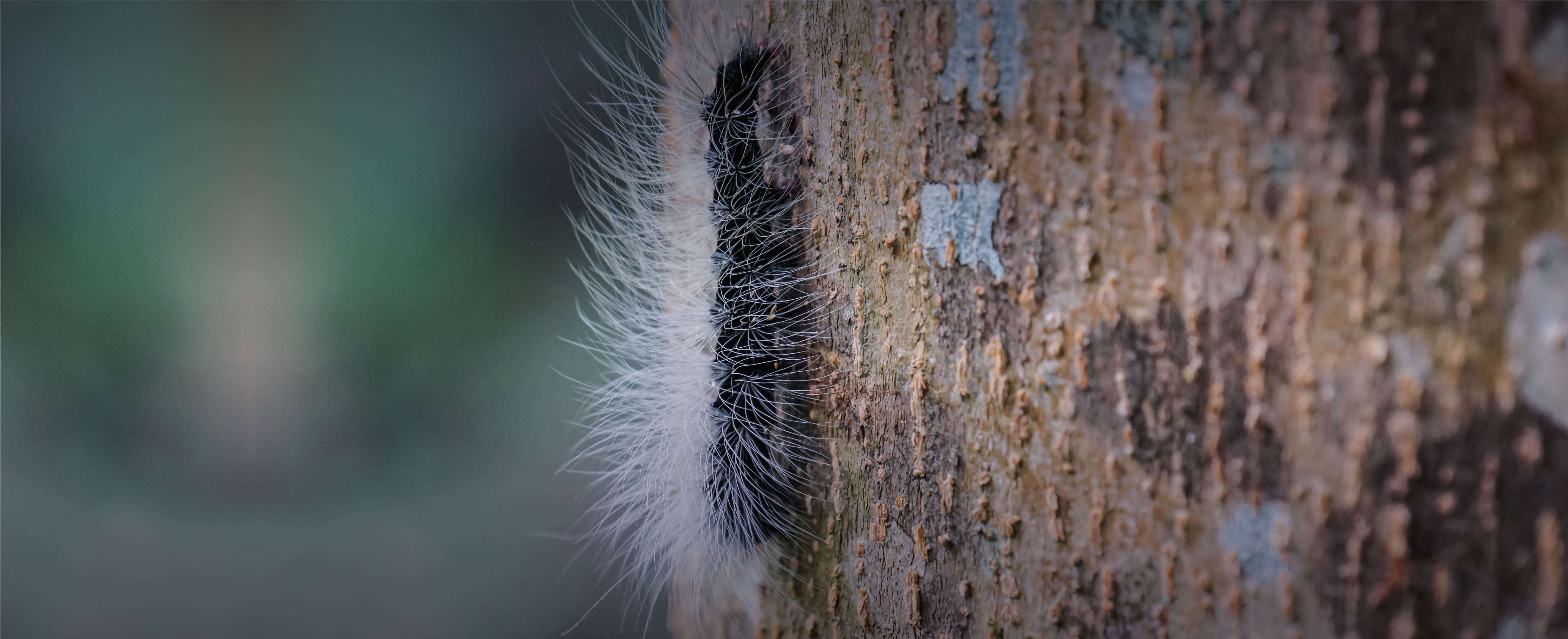 ESP 2024 Umbraco Header3 (1)